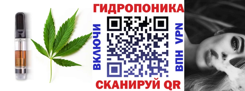 Canna-Cookies марихуана  Усть-Кут 