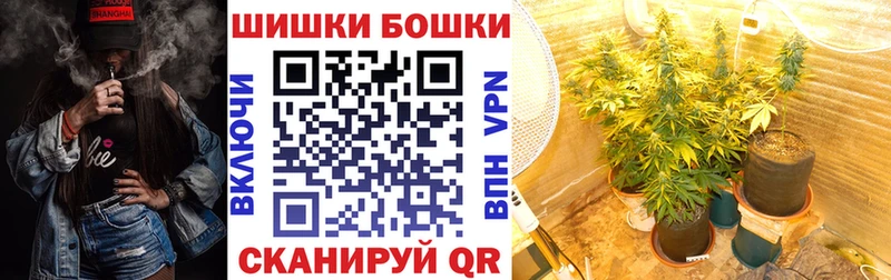 где продают наркотики  Усть-Кут  Бошки Шишки семена 